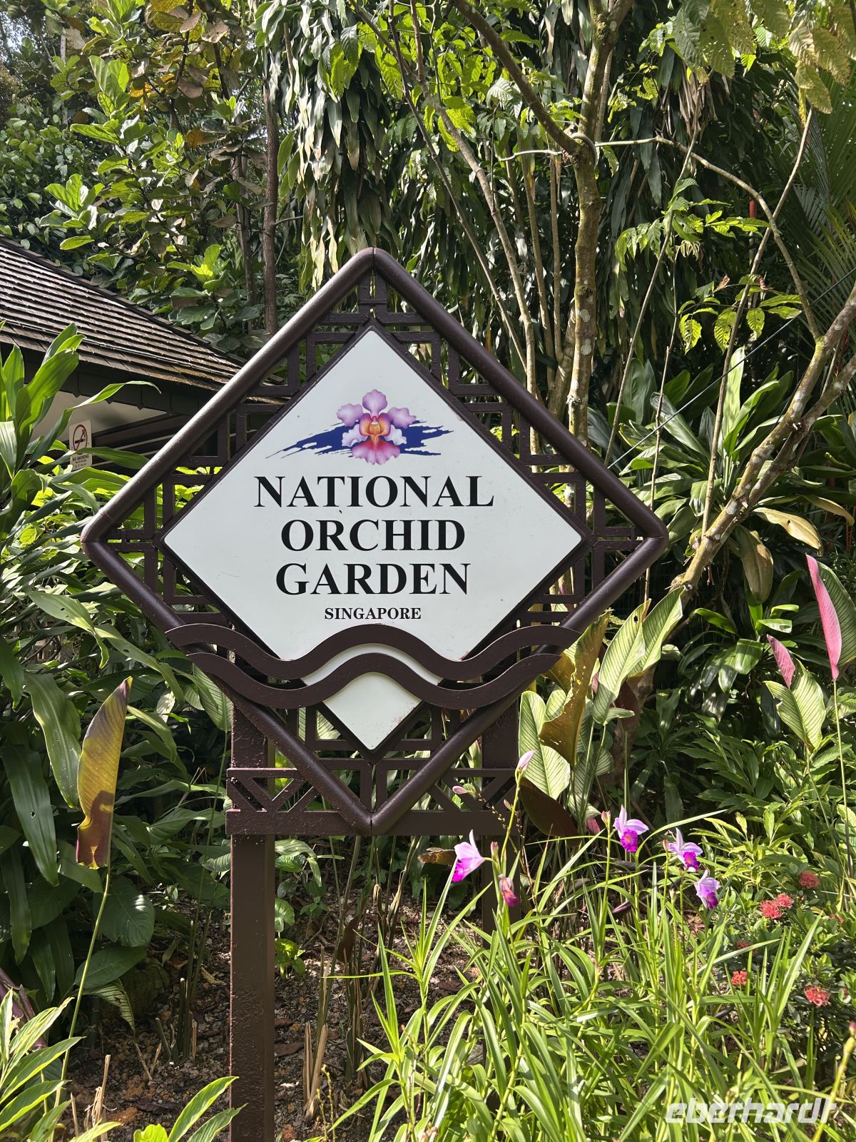 Orchideen-Garten Singapur
