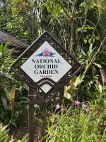 Orchideen-Garten Singapur