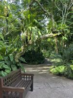 Orchideen-Garten Singapur