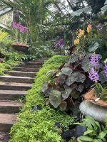 Orchideengarten Singapur