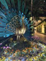 Changi Airport Singapur