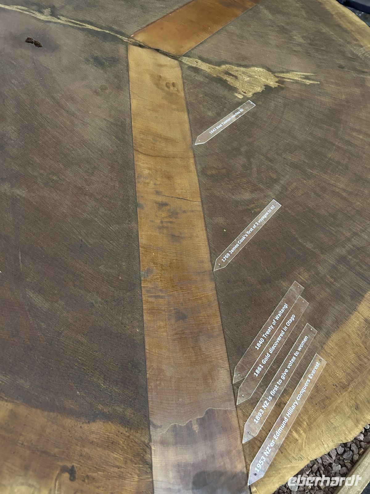 Jahresringe Kauri Stamm