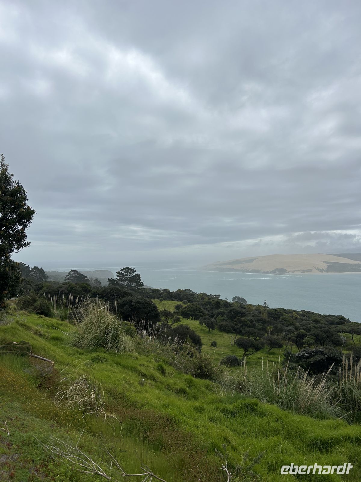 Hokianga Harbour
