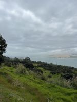 Hokianga Harbour