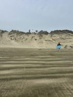 Sanboarding 90 Miles Beach