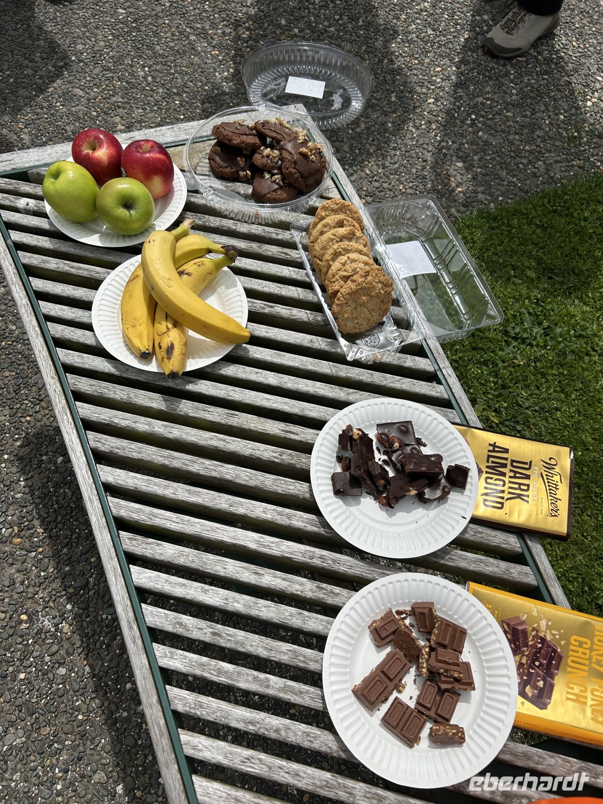 Picknick im botanischen Garten Auckland