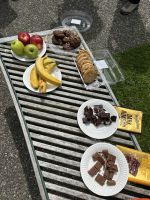 Picknick im botanischen Garten Auckland