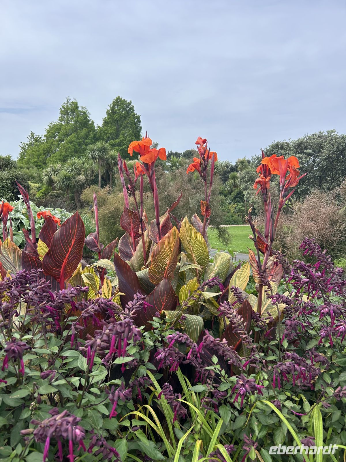 Botanischer Garten Auckland