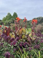 Botanischer Garten Auckland