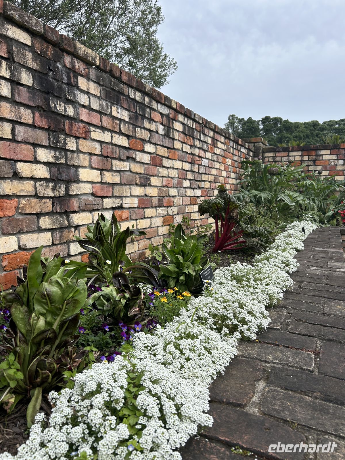 Kräutergarten im botanischen Garten Auckland