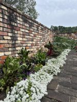 Kräutergarten im botanischen Garten Auckland