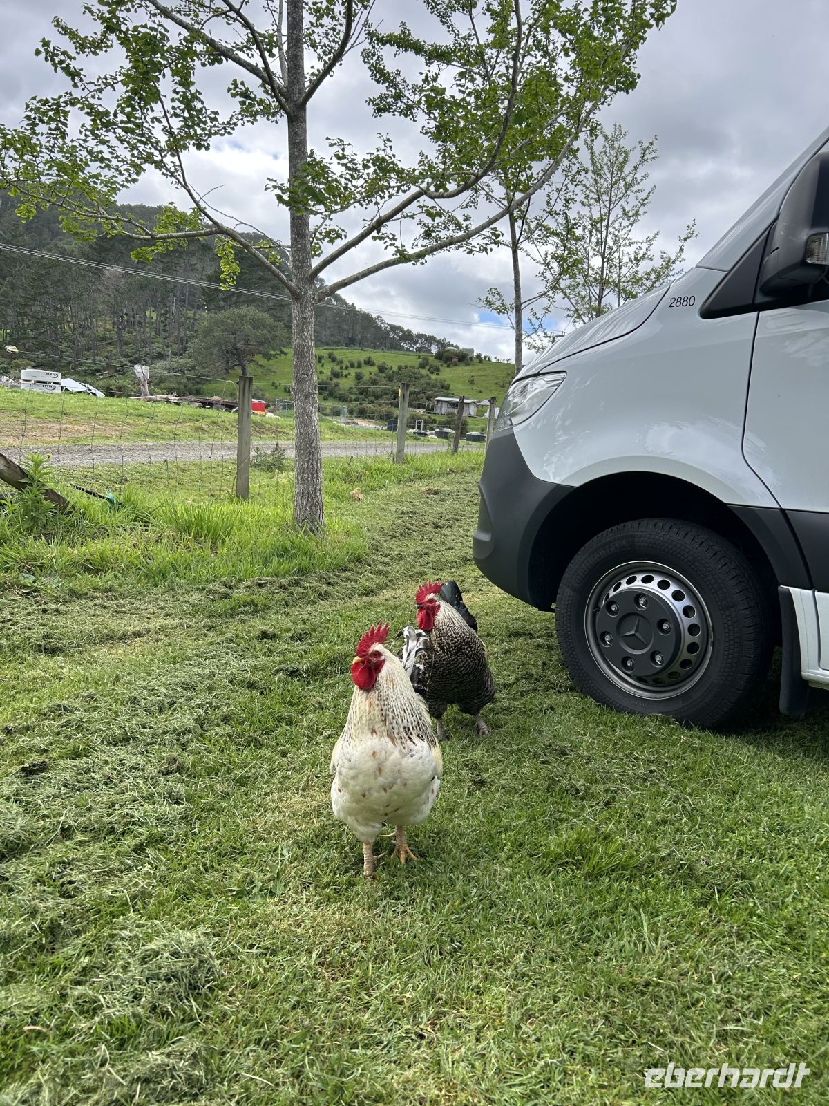 Wanderung Cathedral Cove