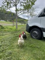 Wanderung Cathedral Cove