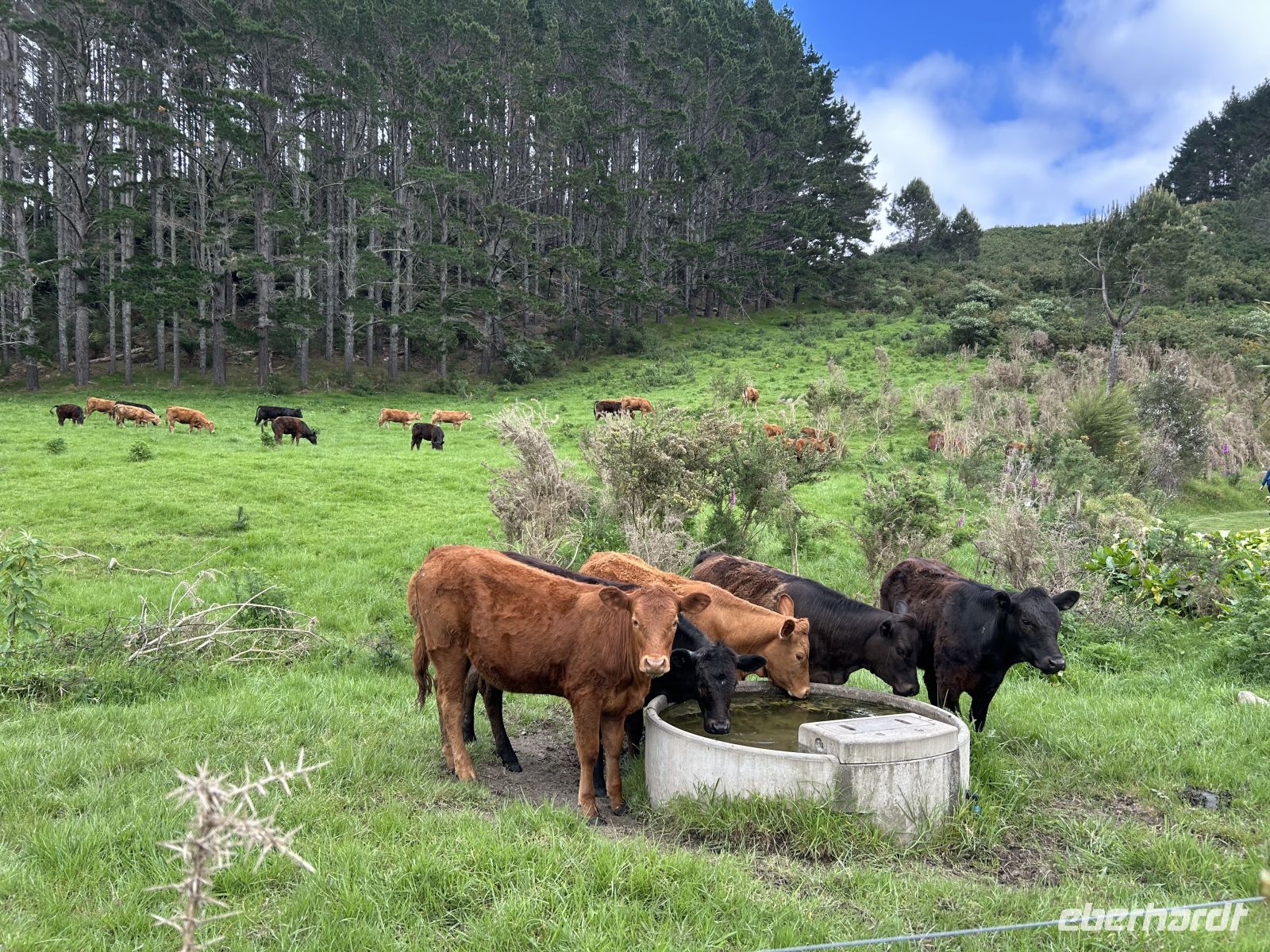 Wanderung Cathedral Cove