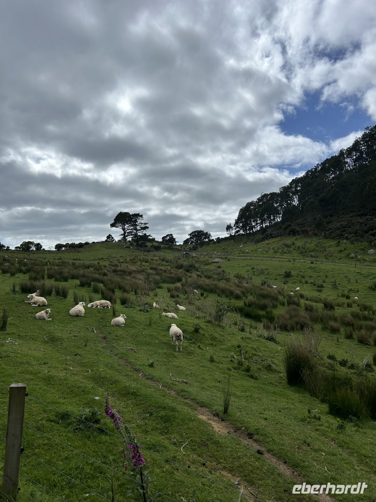 Wanderung Cathedral Cove