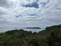 Aussicht Coromandel Halbinsel