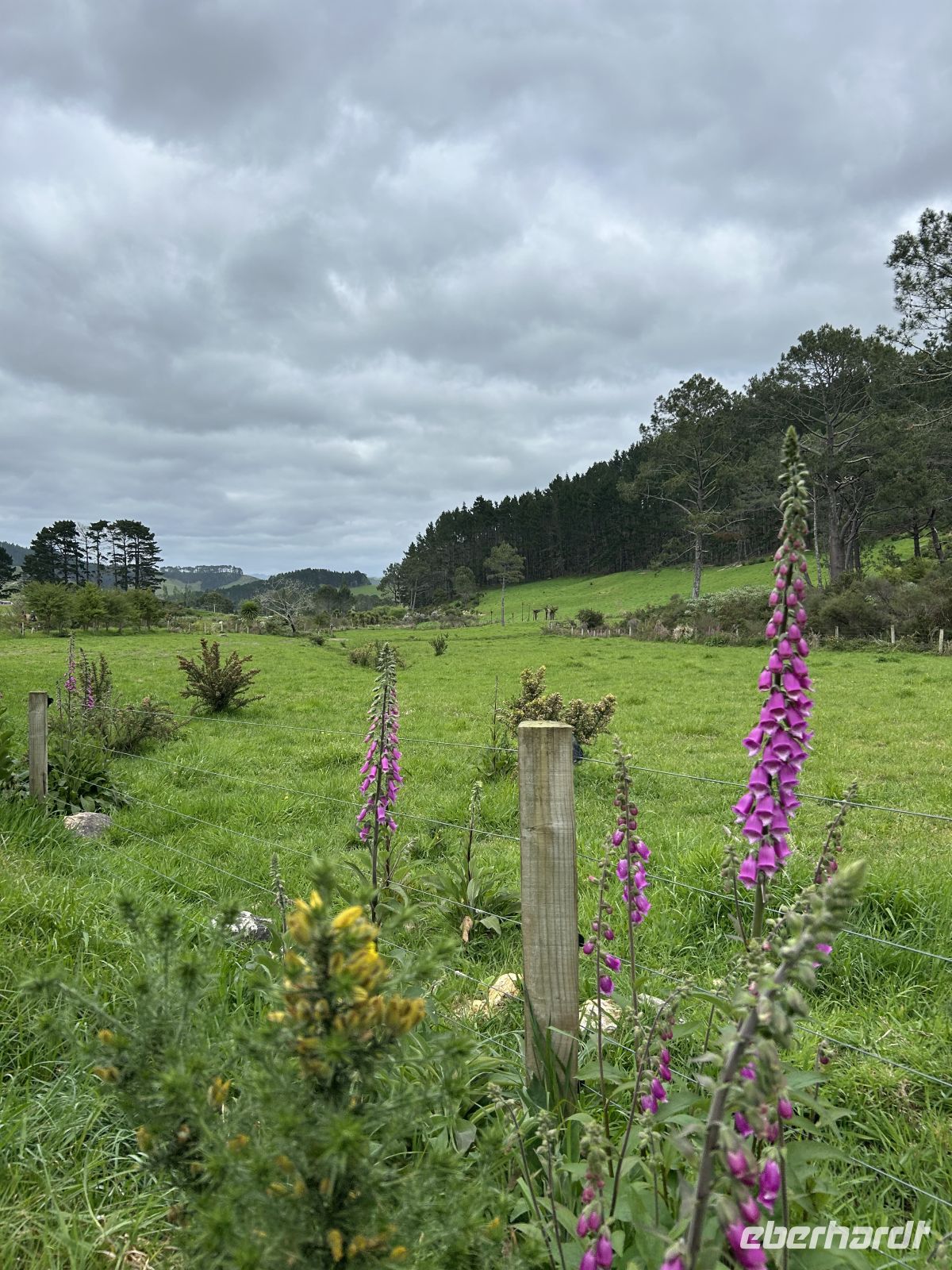 Wanderung Cathedral Cove