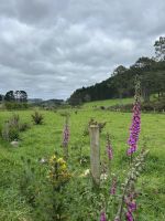 Wanderung Cathedral Cove