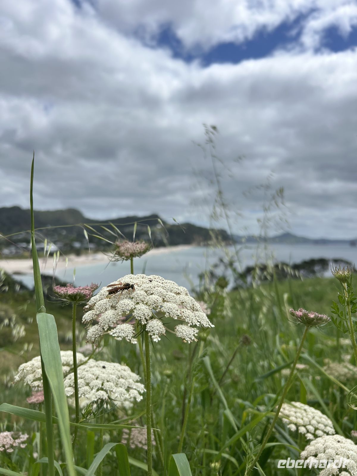 Hereheretaura Pa Short Walk