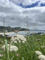 Hereheretaura Pa Short Walk