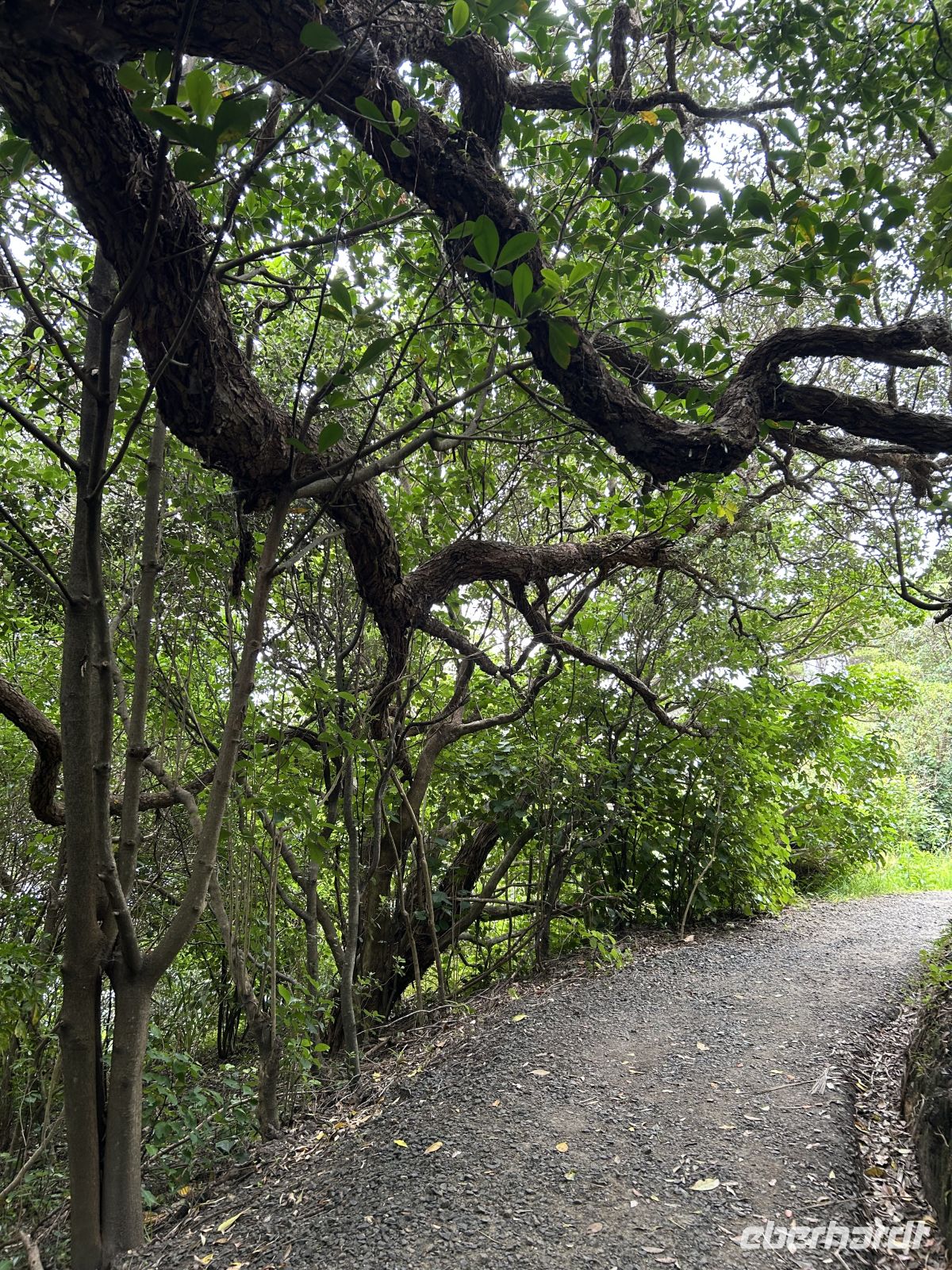 Hereheretaura Pa Short Walk