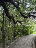 Hereheretaura Pa Short Walk