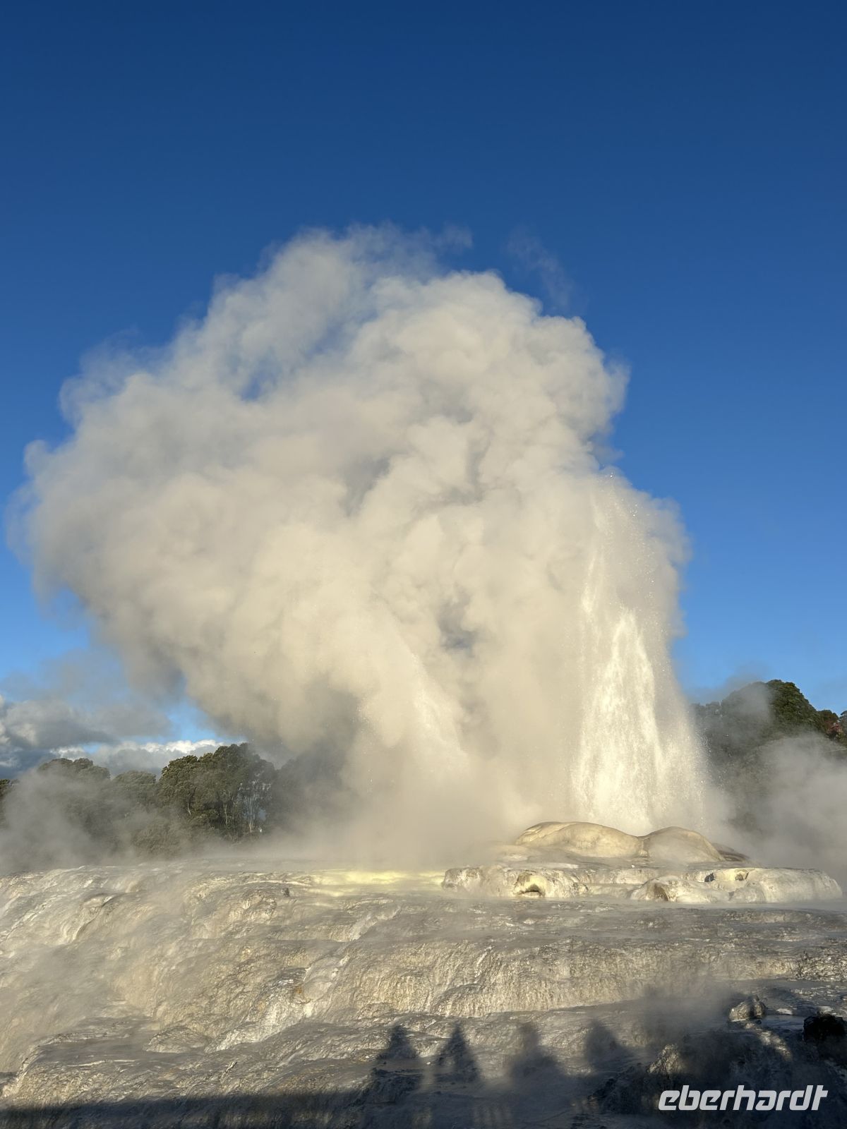 Papakura Geyser Rotorua 