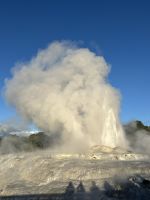 Papakura Geyser Rotorua 