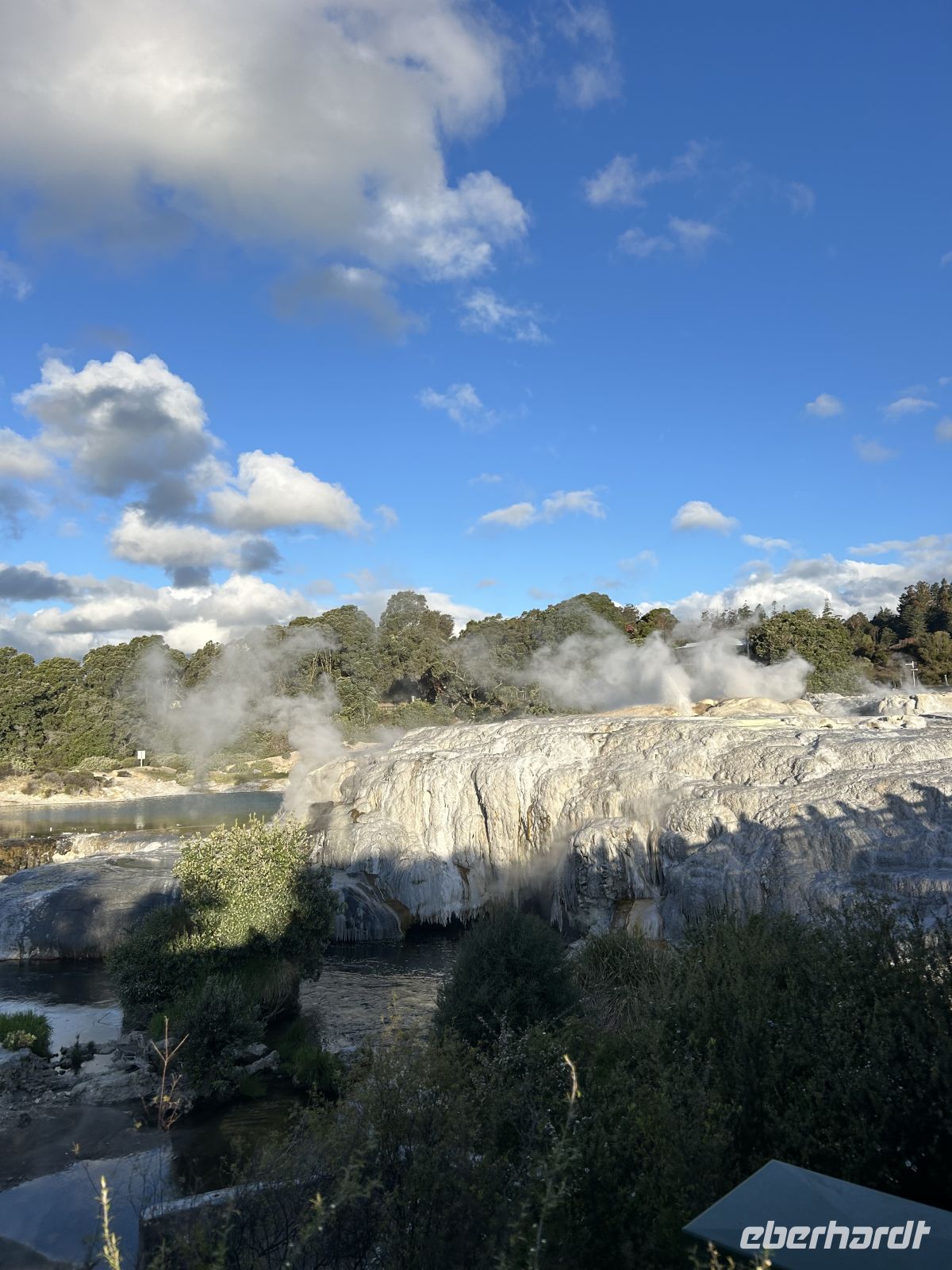 Papakura Geyser Rotorua 