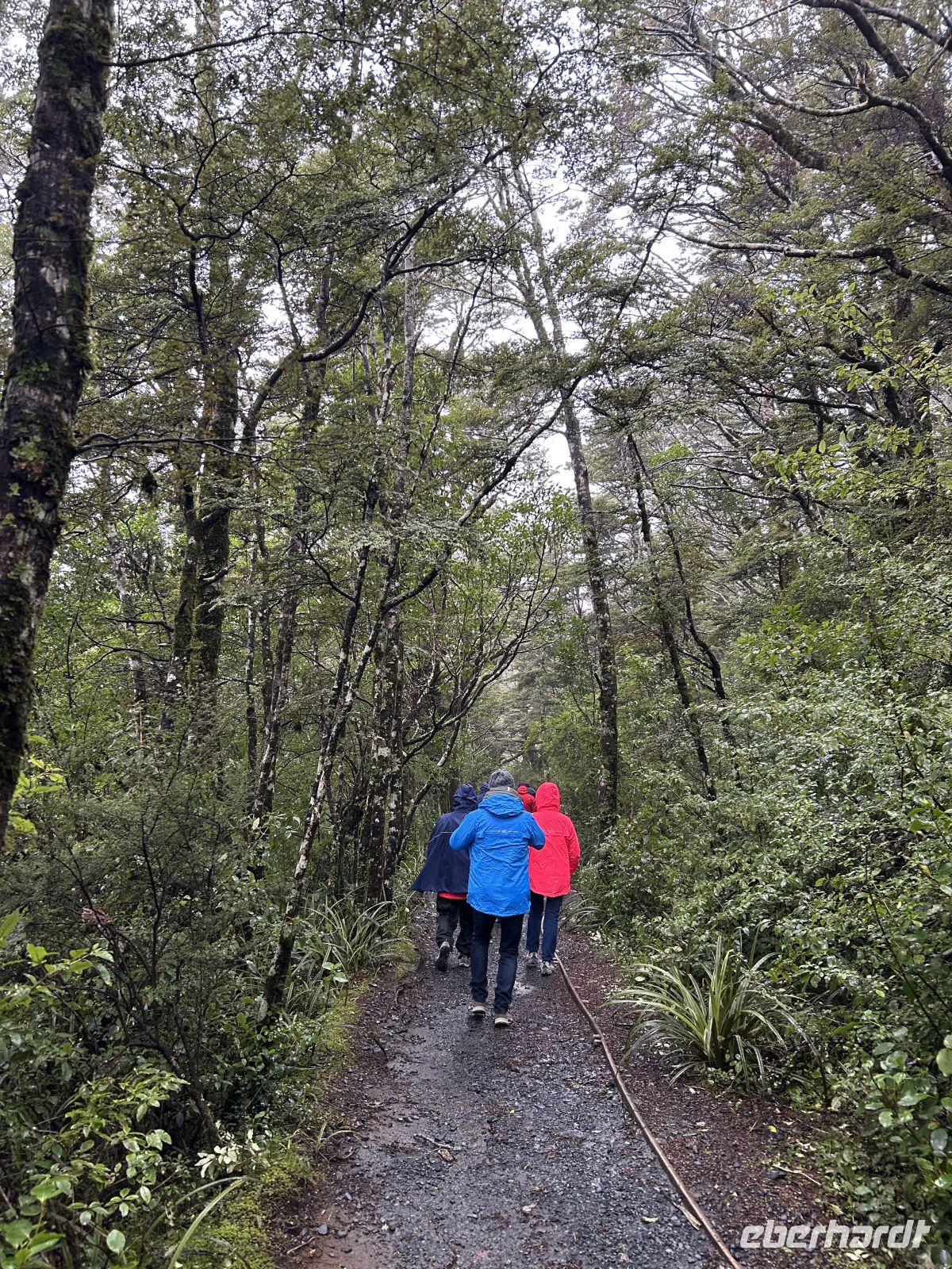 Wanderung Tongariro National Park