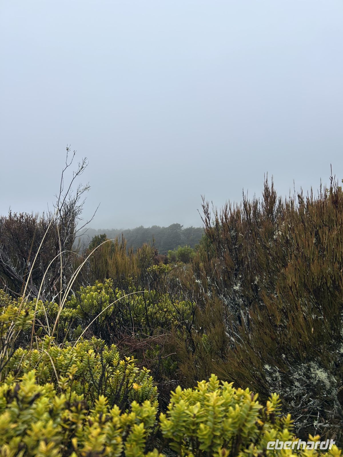 Tongariro National Park