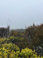 Tongariro National Park