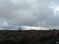 Mount Ruapehu