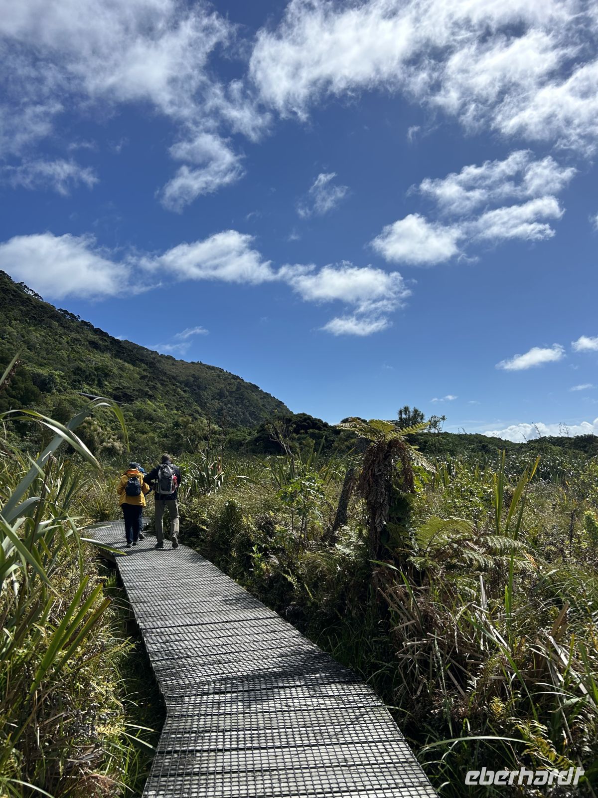 Kapiti Island