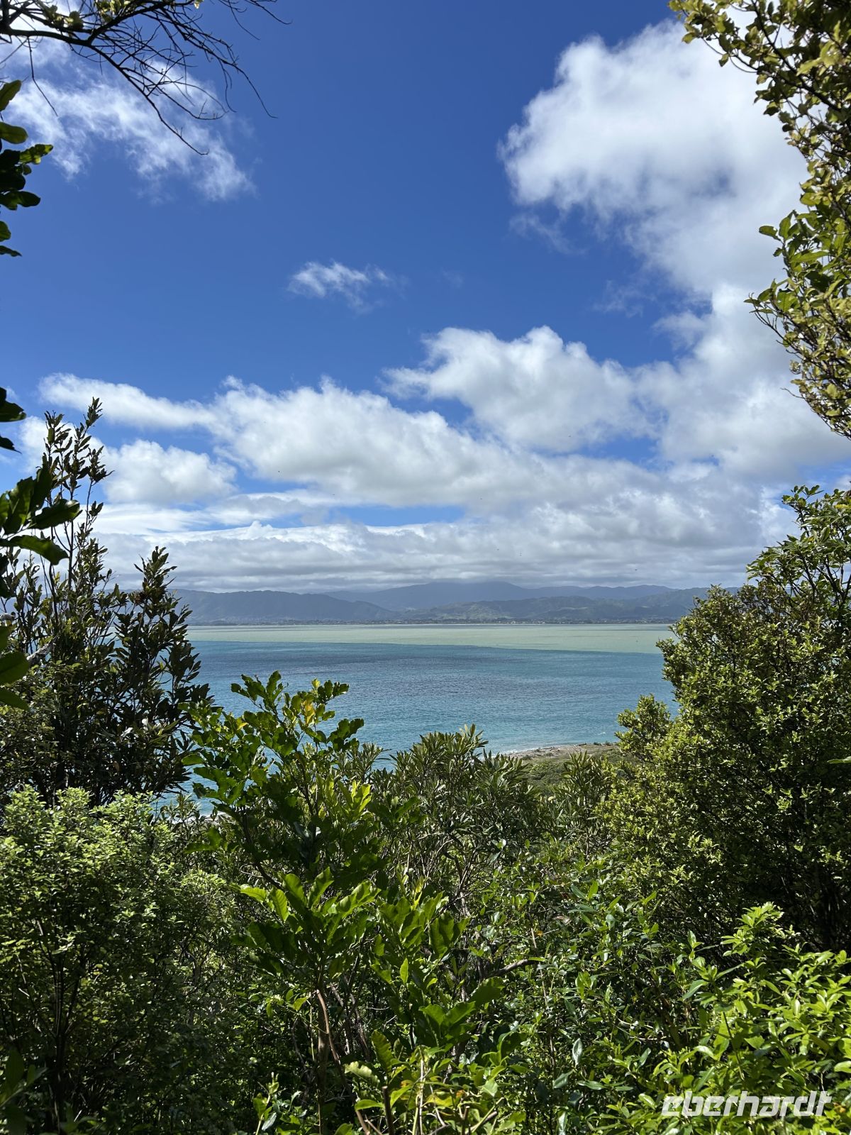Kapiti Island