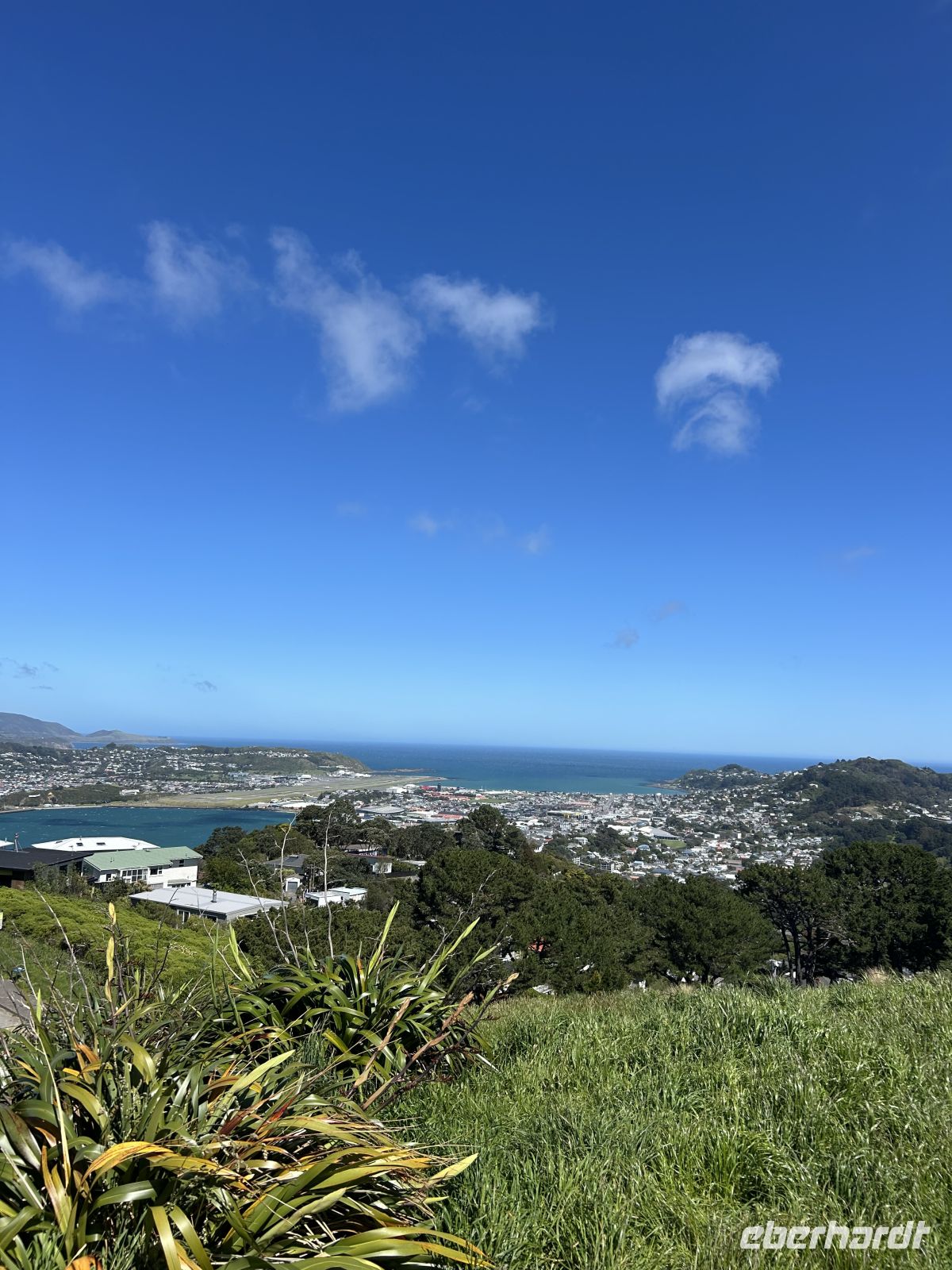 Mount Victoria Wellington