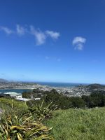 Mount Victoria Wellington