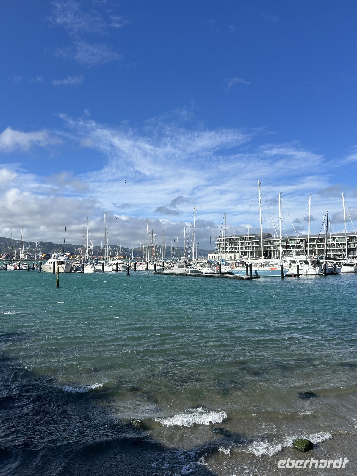 Hafen Wellington