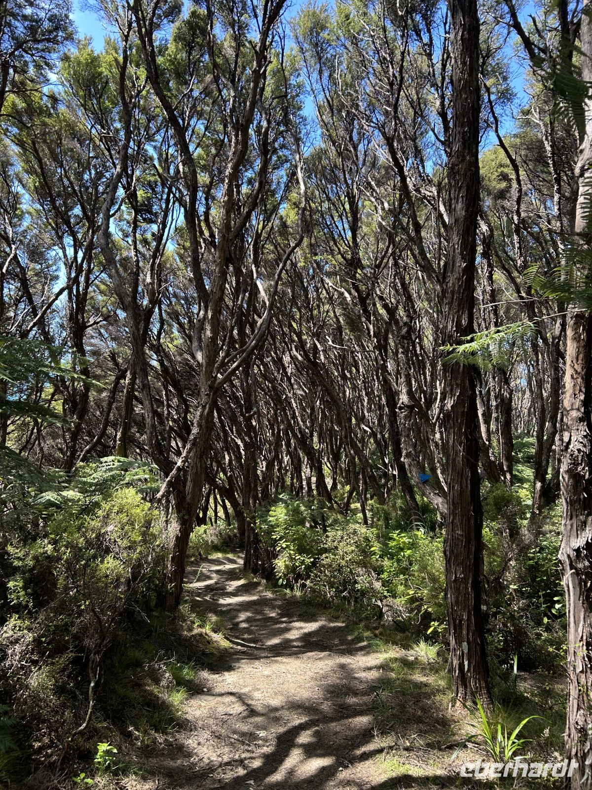 Abel Tasman Nationalpark