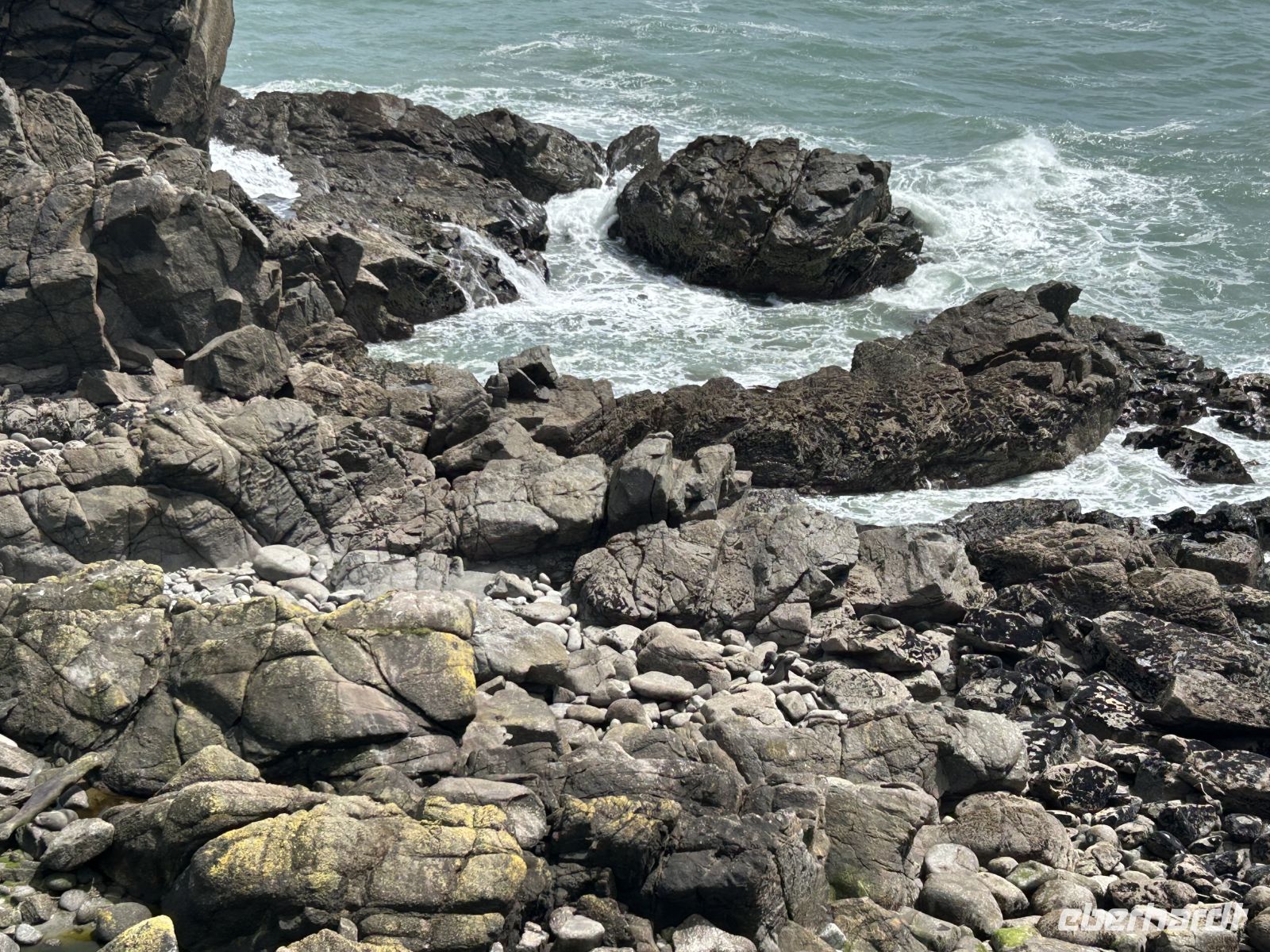 Seebären Kolonie in der Tauranga Bay