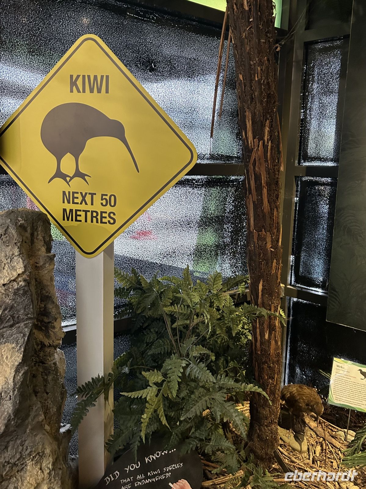 West Coast Wildlife Centre Franz-Josef