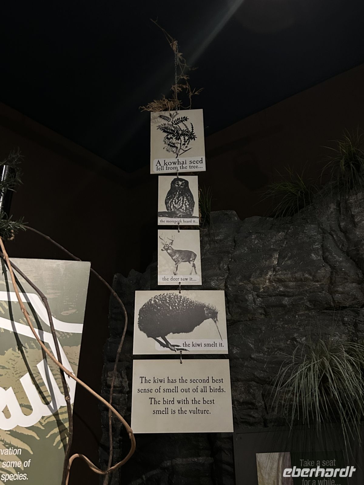 Kiwihaus West Coast Wildlife Centre Franz-Josef