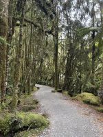 Westland Tai Poutini National Park