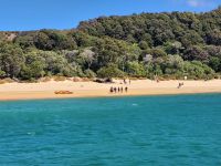 Anchorage Bay Abel Tasman National Park