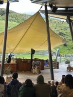 Vorführung Schaf schären