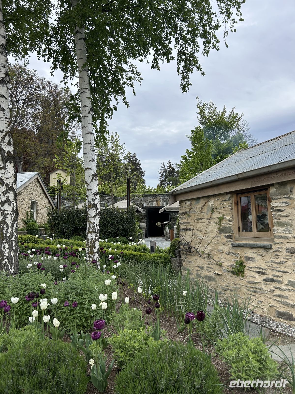 Tulpengarten Ayrburn 