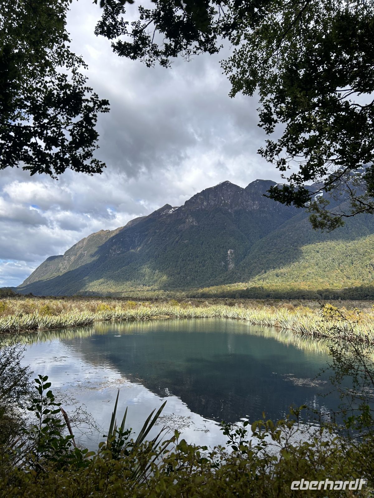 Mirror Lakes Fjordland Nationalpark