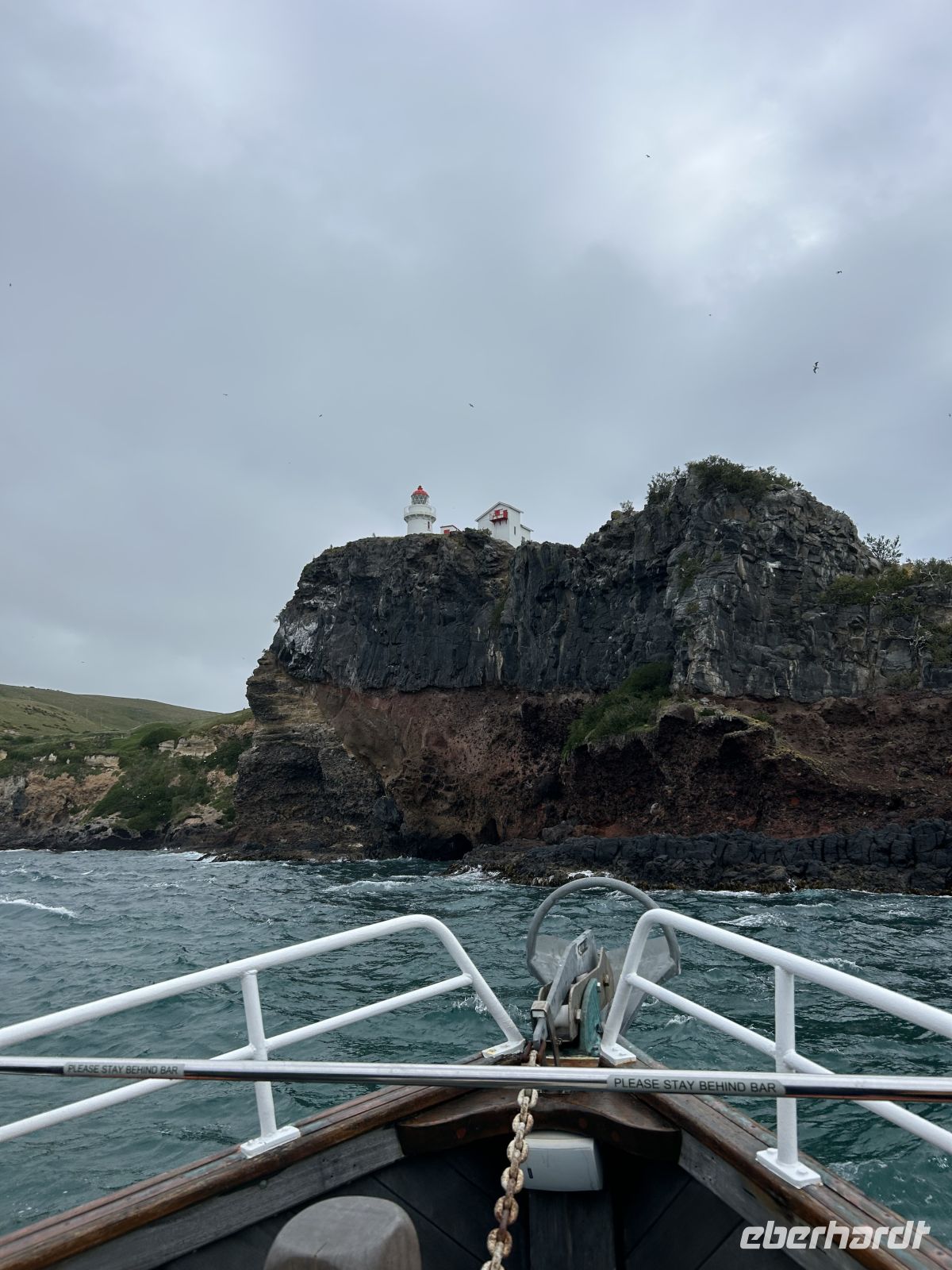 Blick auf das Royal Albatross Centre