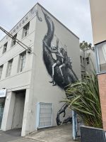 Streetart Dunedin