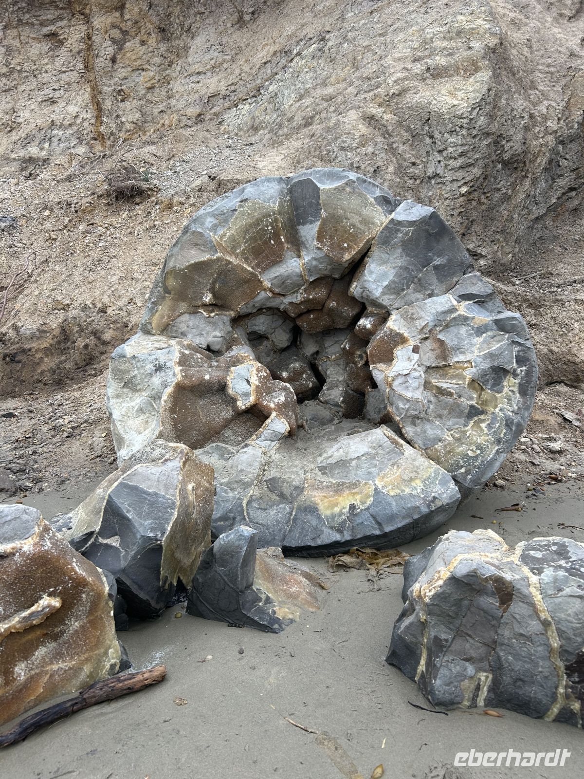 Überreste der Moeraki Boulders